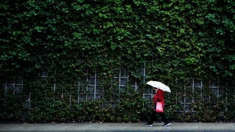 A woman walks to work in the rain in downtown Vancouver, British Columbia January 23, 2012. CANADA/