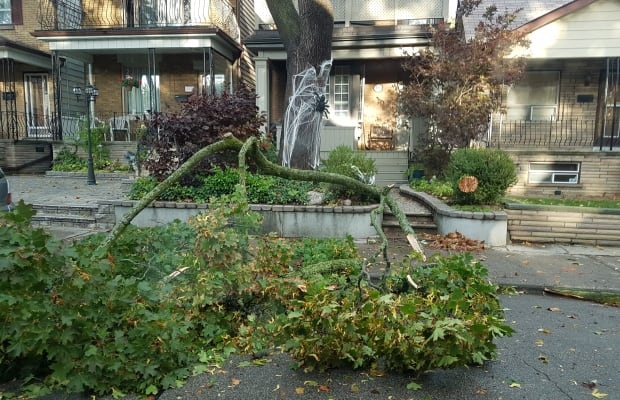 Strong, gusty winds moving through the GTA on Sunday