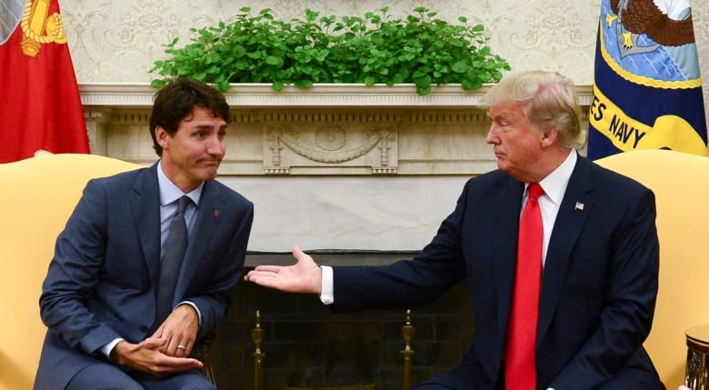 HANDLE GRIP  Trudeau Canada