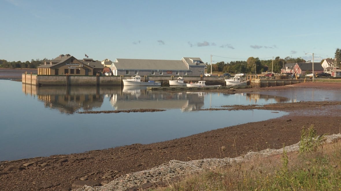 VictoriabytheSea ready for early Christmas event Prince Edward Island CBC News VictoriabytheSea ready for early Christmas event Prince Edward Island CBC News