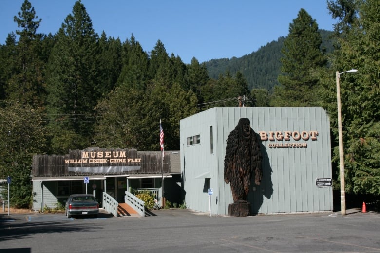 Cowboy behind legendary Patterson-Gimlin Bigfoot film marks 50th ...