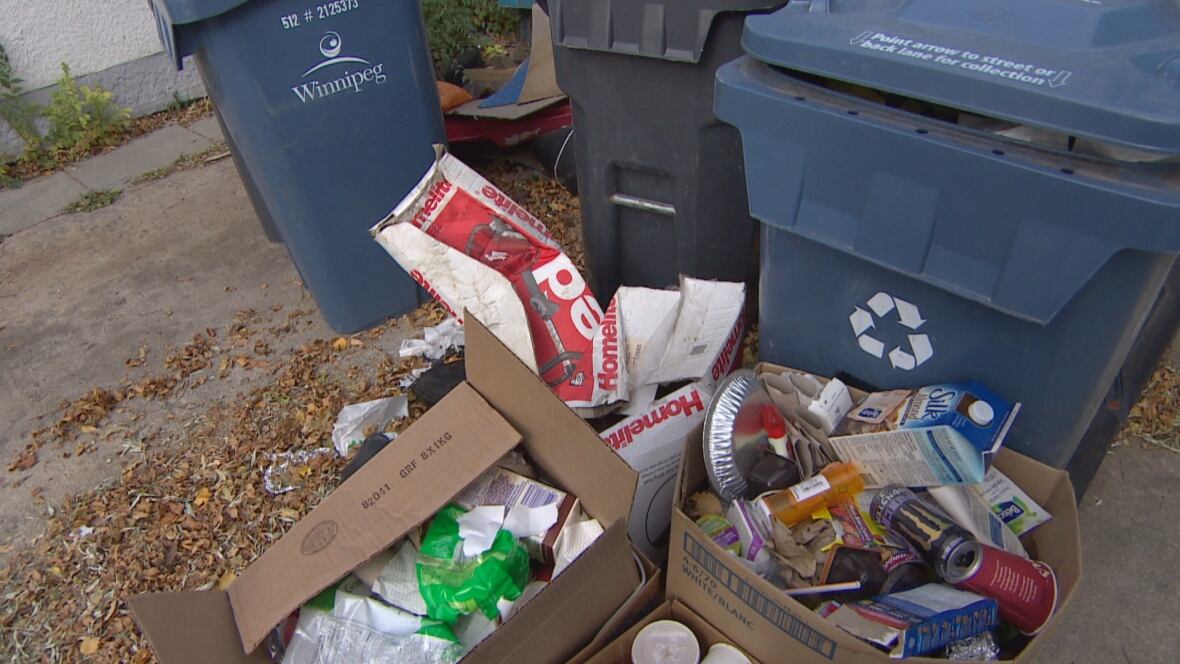 'Nobody shows up' Winnipeg seniors waited 3 weeks for garbage pickup