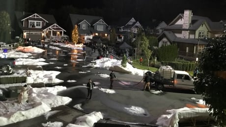 Residents on Coulter Court in Langley had their neighborhood turned into a winter wonderland for 5 days. Not everyone got into the spirit. langley film upset