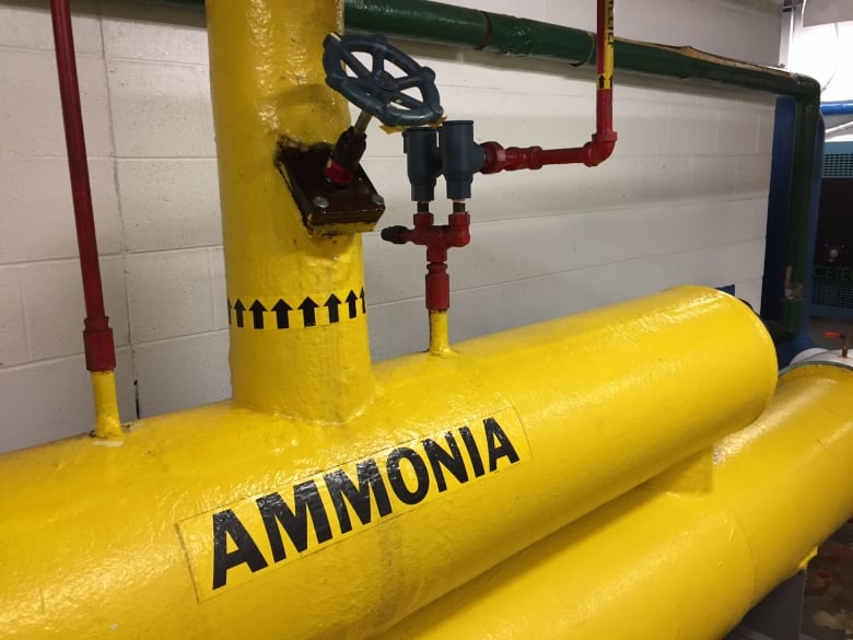 Replacing ammonia in Ontario rinks not that simple CBC News