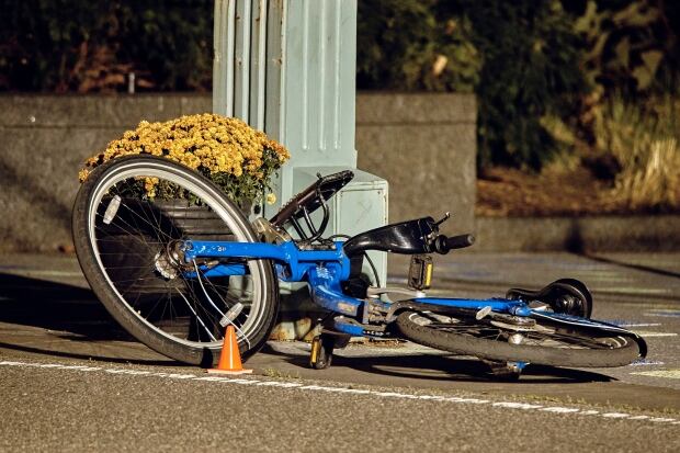Bike Path Attack