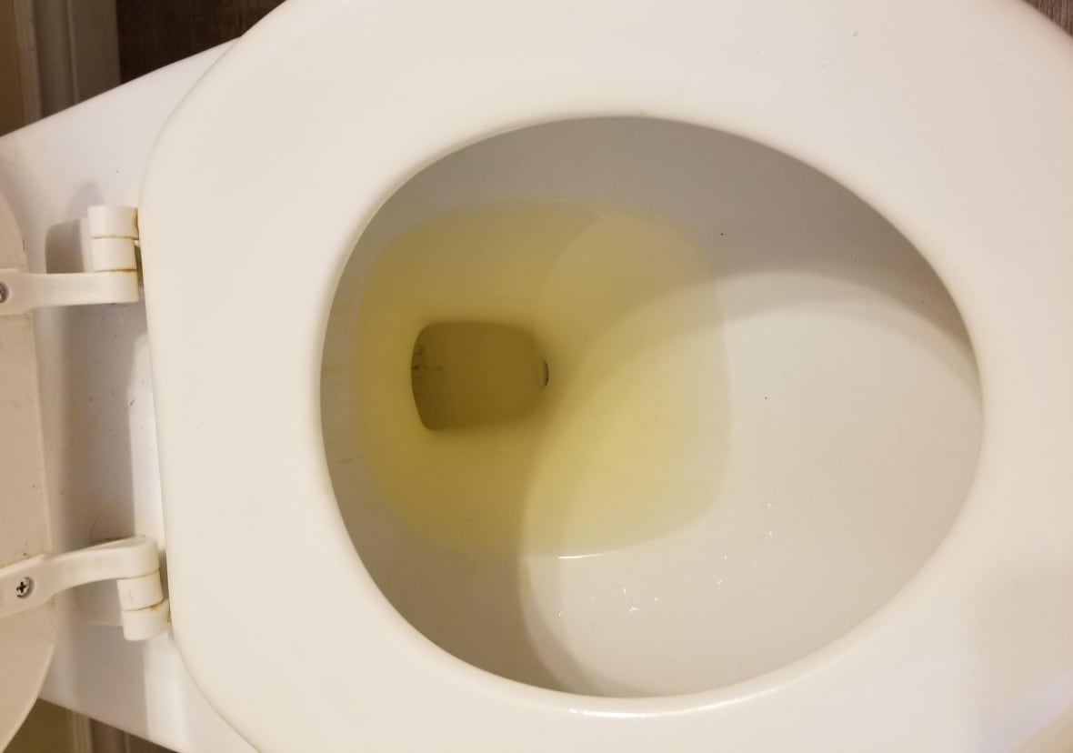 'It's not fit' Yellow tap water forces Mount Pearl family to buy