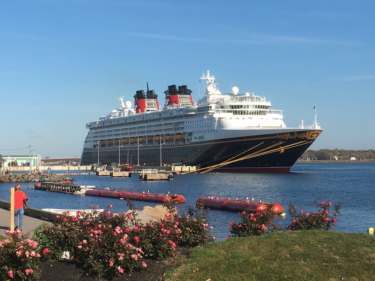 Charlottetown Eyes 100k Cruise Ship Visitors In 2018 Cbc News