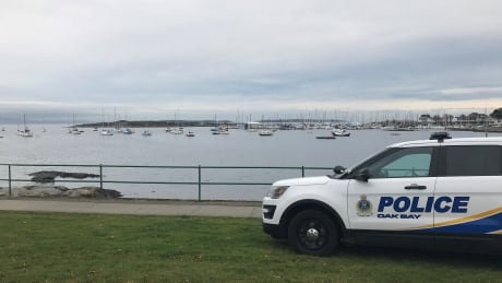 Police in Oak Bay, B.C., say they pulled a man from the water near the Oak Bay Marina prior to a Remembrance Day ceremony, likely saving his life. Oak Bay marina