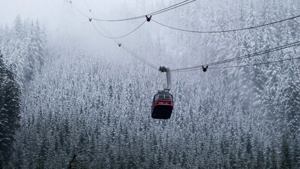 Kindergarteners no longer stranded on Grouse Mountain as wind whips B.C.'s South Coast | CBC News
