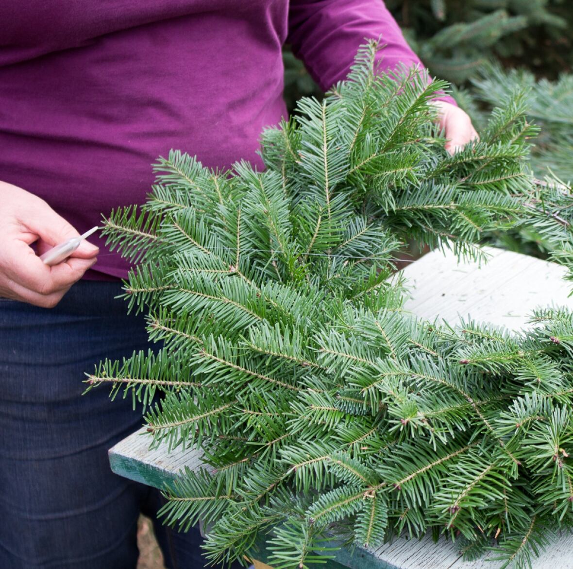 P.E.I. DIY How to make your own Christmas wreath CBC News