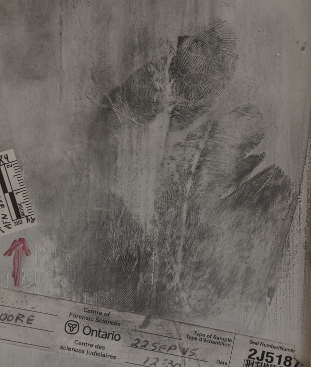 The Basil Borutski trial in pictures CBC News