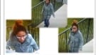 Weston road stabbing suspect aided by this woman