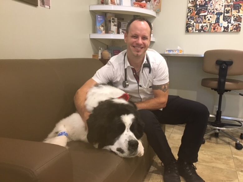 Ottawa vet warning dog owners about potentially deadly disease CBC News