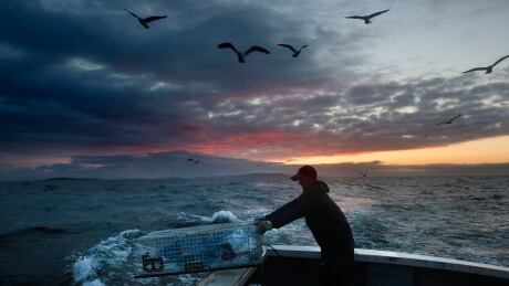 Brandon Demmons sends a lobster trap overboard at dawn off of Monhegan Island, Maine in this July 29, 2014 file photo. Warming Northern Waters