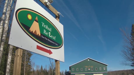 The band also owns 51 per cent of Tribal ReLeaf, which opened in July, and the Chief declared the dispensary had the full support of the band council shortly after the raid.
Tribal ReLeaf