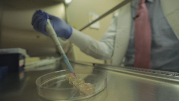 novoheart lab heart cells into mold