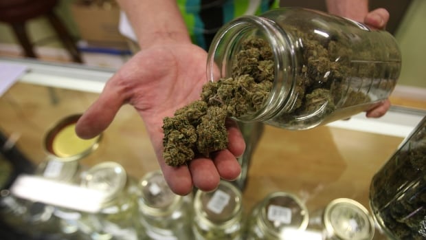 The NSLC's request for information asks potential vendors to provide them with details about their operations, the products they could provide and the timelines under which they could provide it.