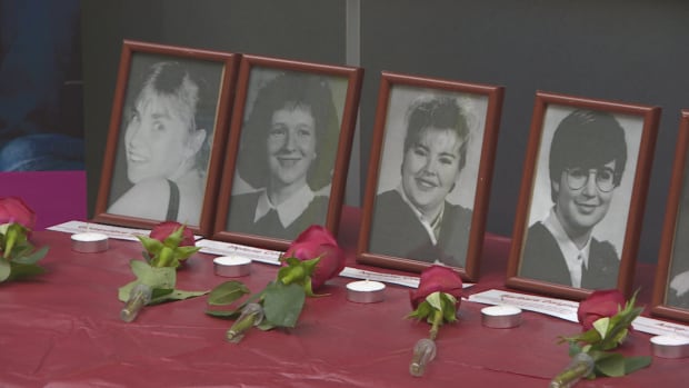 In 1989 14 women at a university were killed. They are remembered in Canada every year on December 6