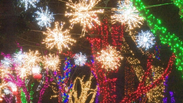 bright lights windsor festival lights up the sky friday city of hamilton street lights