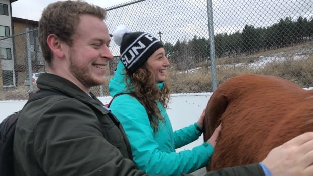 Students with therapy horses at UBC Okanagan