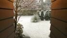 snow west vancouver december 19