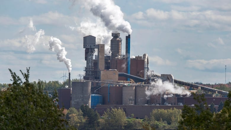 A pulp and paper mill with smoke emanating from the stacks.