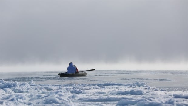Where can i watch angry inuk image