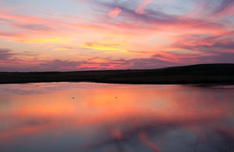 Saskatchewan through the lens 2017 Our province in pictures CBC News