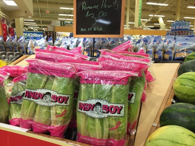 romaine lettuce