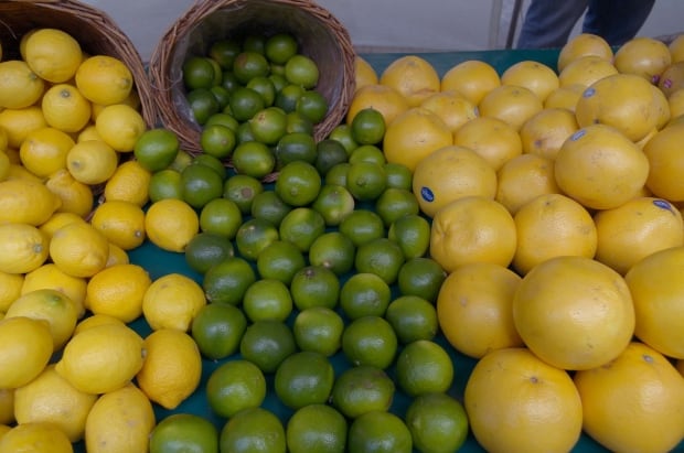 Lemons, limes and grapefruit