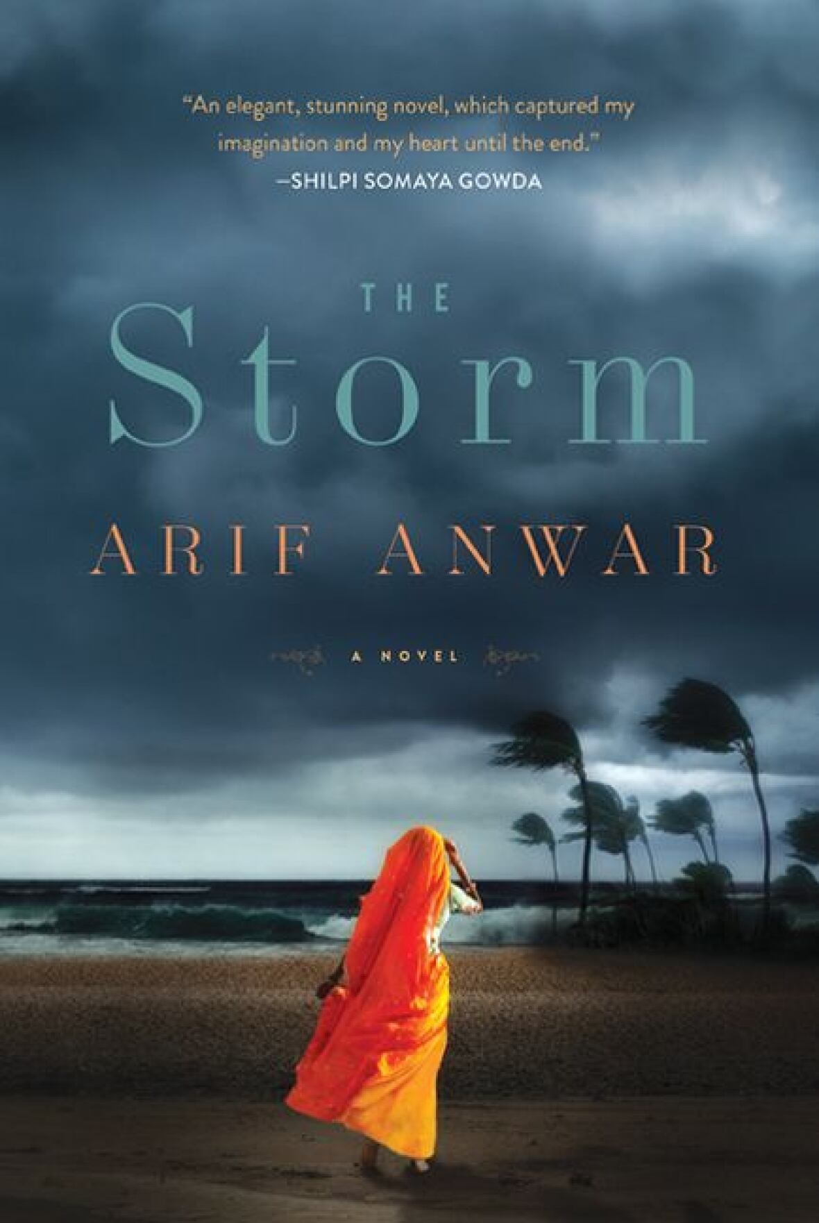 The Storm CBC Books