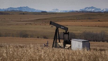 A de-commissioned pumpjack is shown at a well head on an oil and gas installation near Cremona, Alta., in October 2016.  Farmers Abandoned Wells