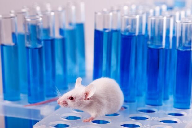 mouse test tubes