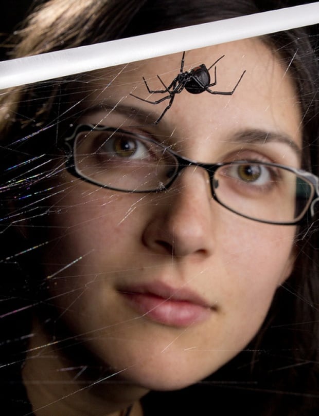 spider