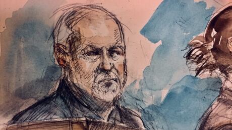 Bruce McArthur court sketch