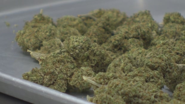The target date for opening marijuana stores in New Brunswick was July 1, but it's been pushed back to the fall.