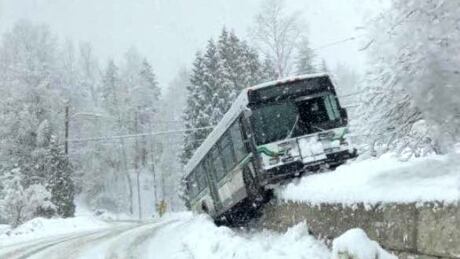Castlegar bus