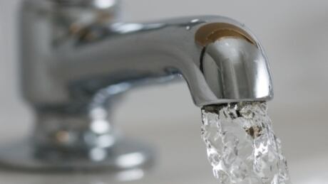 B.C's Auditor General Carole Bellringer releases an audit report, the findings of which she says causes her "grave concern". water-tap