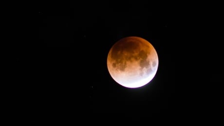The moon looked red from Kitsilano Beach just before 5 a.m. super blue blood moon lunar eclipse vancouver
