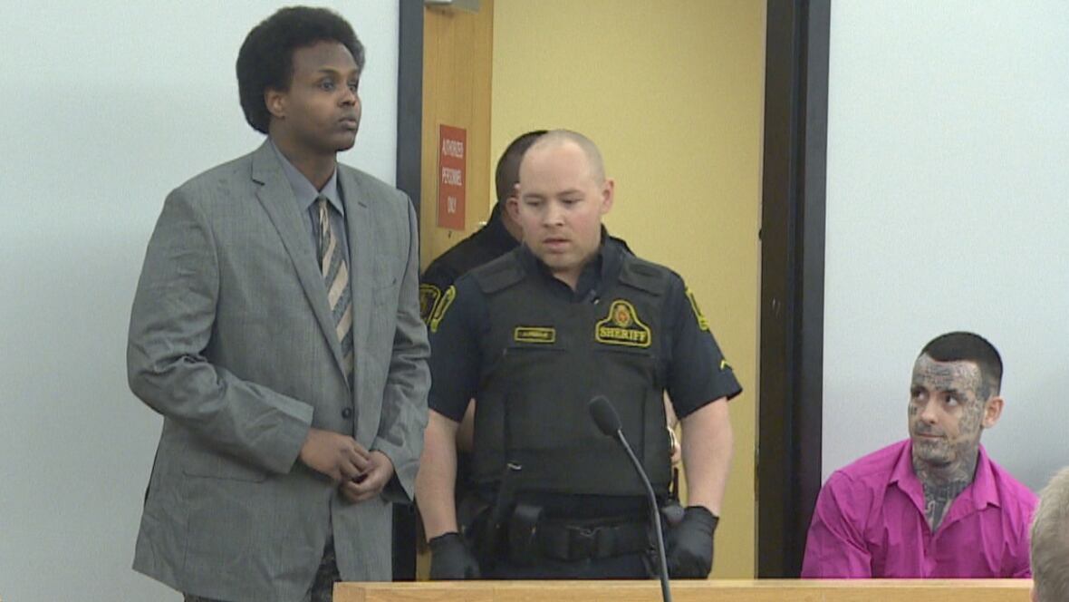邦楽 NIPPS / PARTNERS IN CRIME Friends held at gunpoint during Mount Pearl home invasion