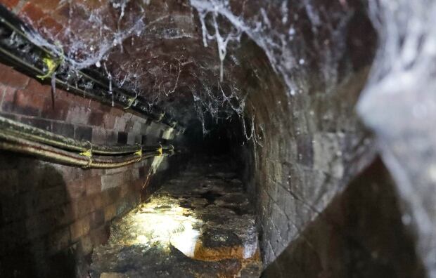 Britain New Fatberg