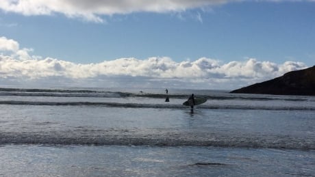 The B.C. Coroners Service says a man in his 20s died in a surfing incident on Long Beach on Feb. 10, 2018 Long Beach near Lovekin Rock 11 February 2018