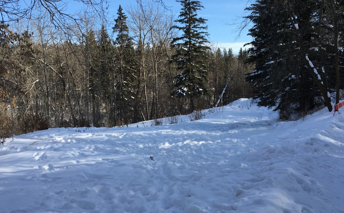 Large home proposed for Mill Creek ravine goes to Edmonton appeal board