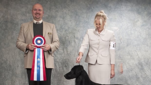 South Jersey Therapy Dog Competes in Westminster Dog Show