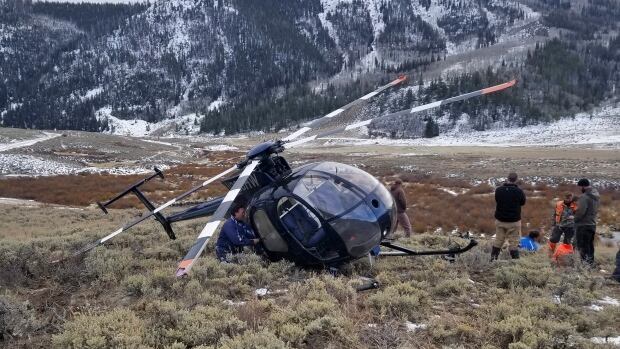 Leaping elk brings down helicopter in US