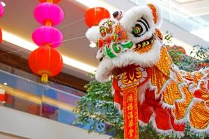 Lunar New Year flowers bring luck for the whole year | CBC News