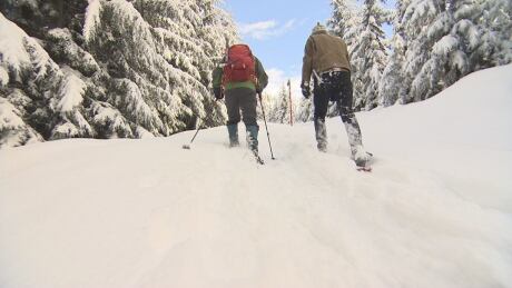 CBC's Jake Costello went for a winter walk with hiking expert Stephen Hui to learn about how to snowshoe safely. Jake Costello and Stephen Hui
