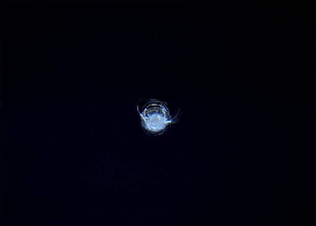 Space debris impact space station
