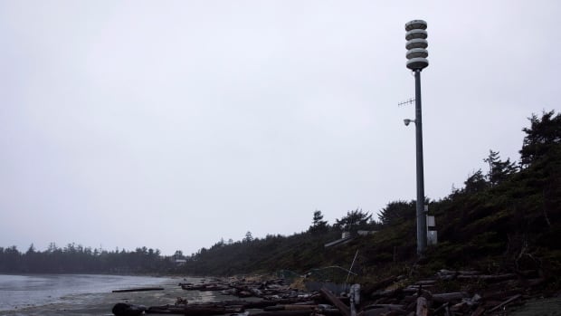 Tsunami warning today tofino