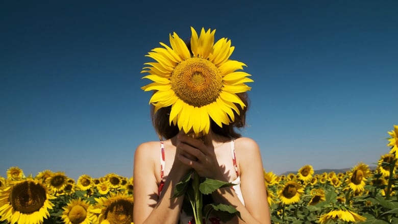 QUIZ What Flower Are You CBC Life
